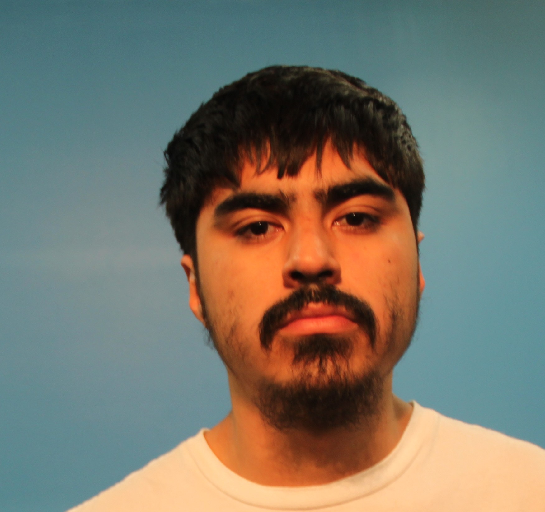 Castillo, Milton Andreiy arrested by Brazoria County SO/PD