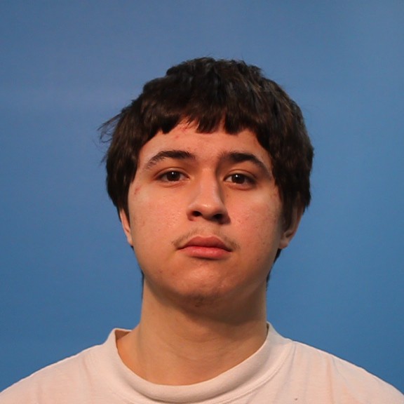 Daniel, Jonathan booking photo