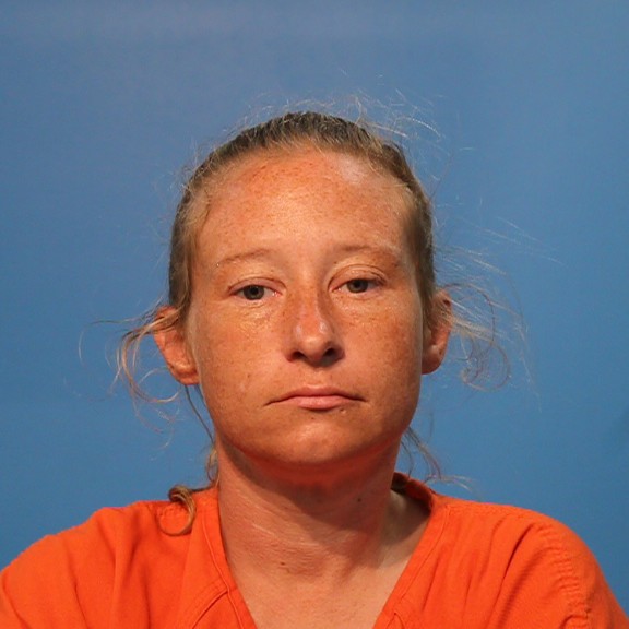 Bettinger, Sarah Elizabeth booking photo