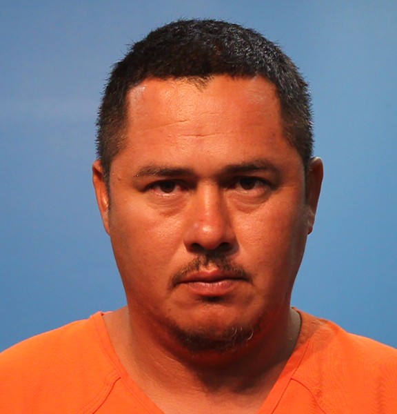 HERNANDEZ AVILES, RONALDO DOMINGO booking photo