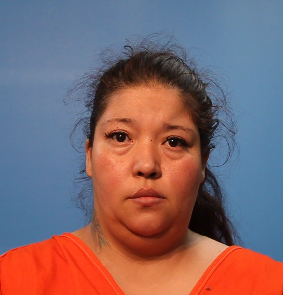 Holliday, Vanessa Nicole booking photo