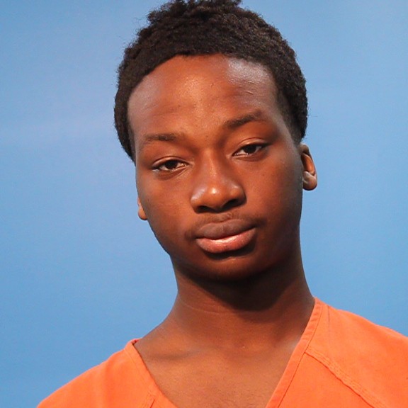 NWAKA, ONYEKA E. booking photo