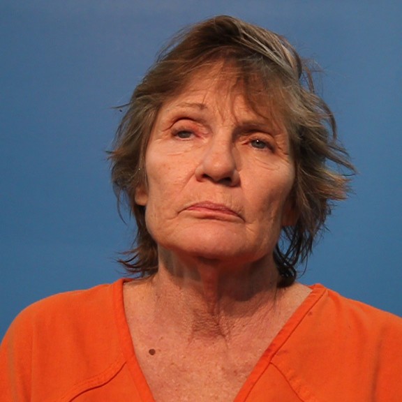 Nickle, Dianna Louise booking photo