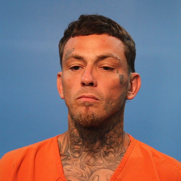 Berthot, Brian Anthony booking photo