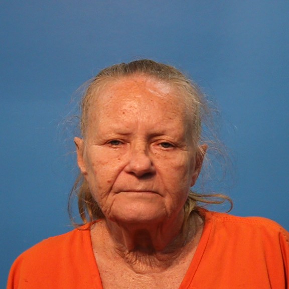 Hayman, Dianne booking photo