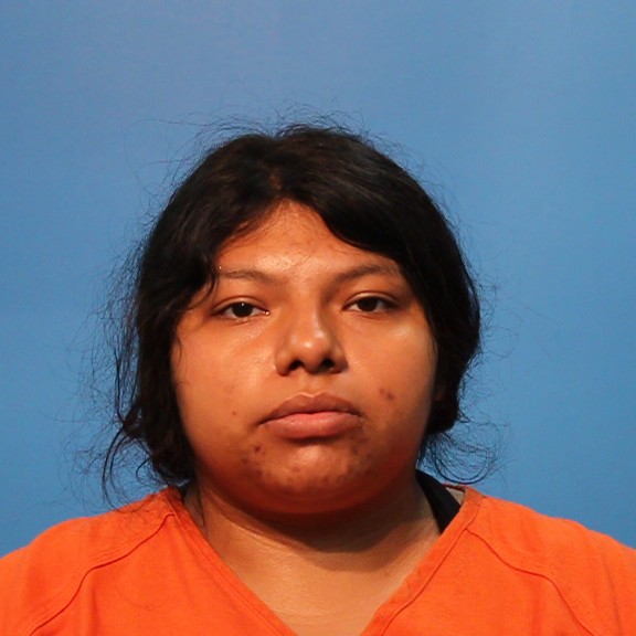 RAMIREZ, MARIVELLA booking photo