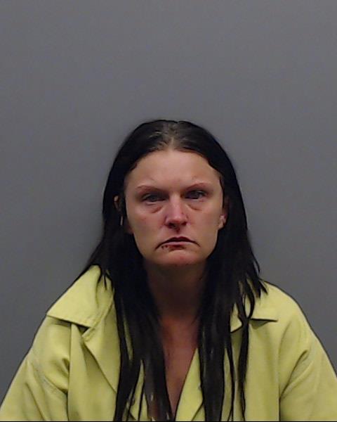 GAGE, JAMIE LEE booking photo