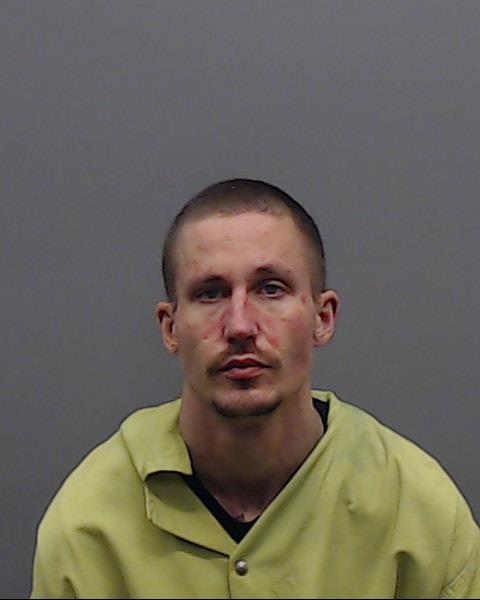 DAVIDSON, JOEL CASH booking photo