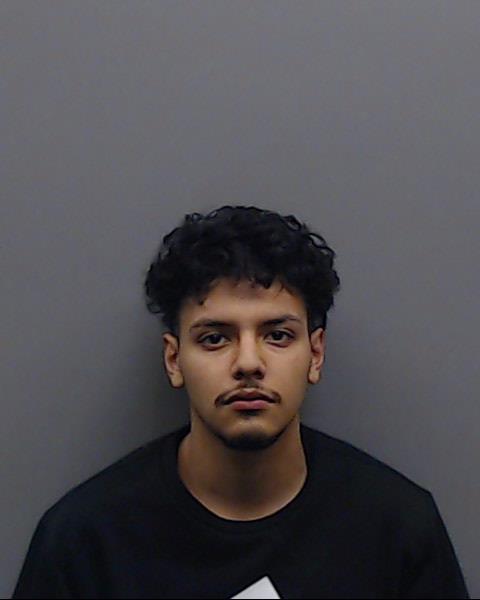 RAMIREZ, PEDRO J booking photo