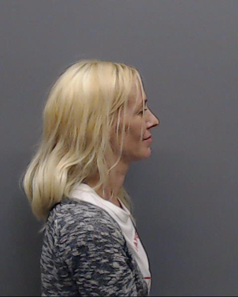 AKINS, APRIL NICOLE booking photo