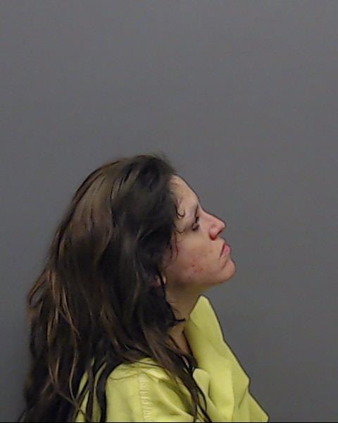 PANELLI, FALENE AMANDA booking photo