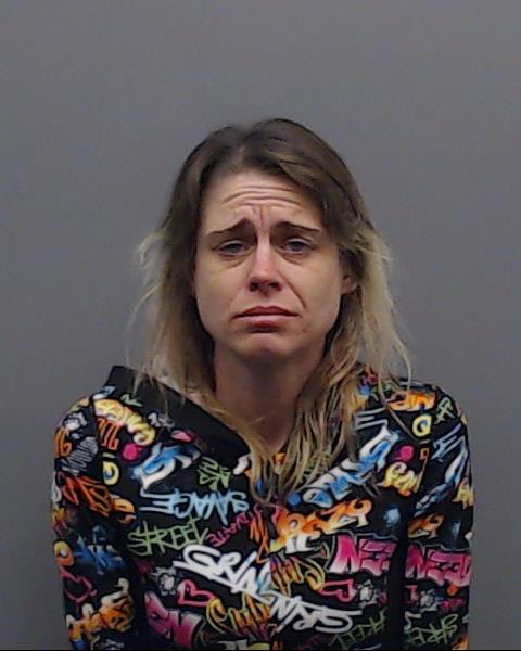 HERNANDEZ, BRITTANY booking photo