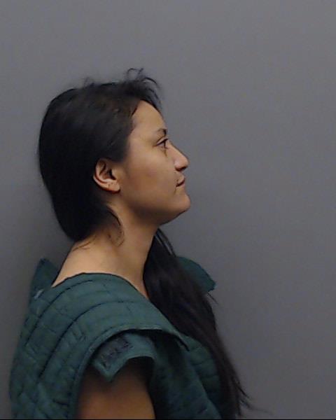 LARA, LISSETH MORENA booking photo