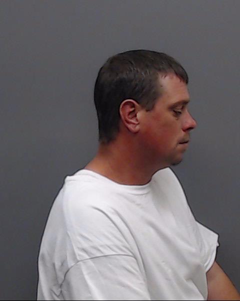 ROBINSON, MICHAEL WAYNE booking photo