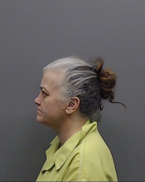 PLEMONS, MELINDA KAY booking photo