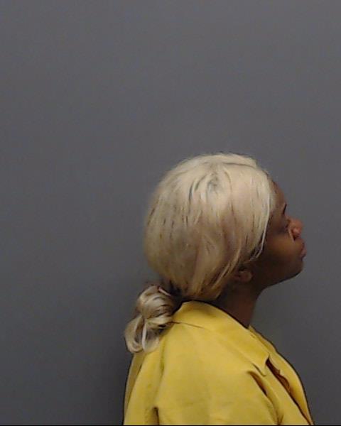 HENDERSON, DAYSHA NICOLE booking photo