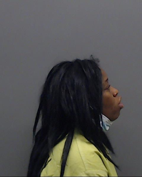MCCOY, BIANCA CHRISTINE booking photo