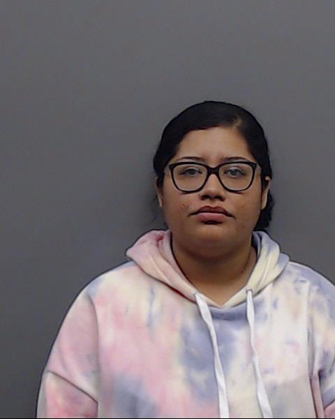 ALANIS, MARISOL booking photo