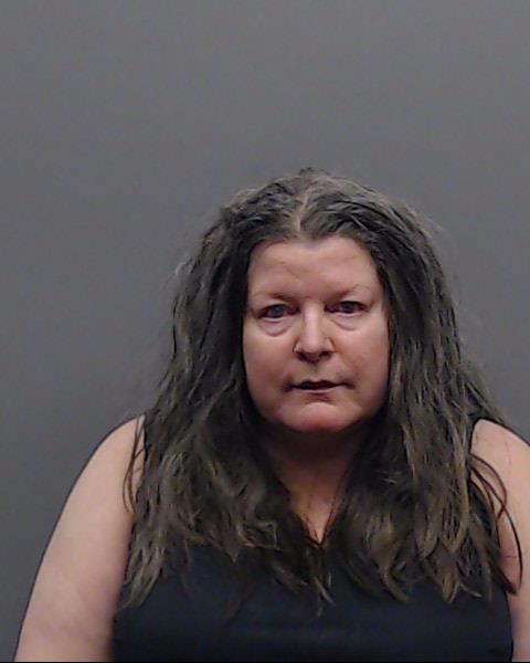 AMES, SHANNON LORENE booking photo