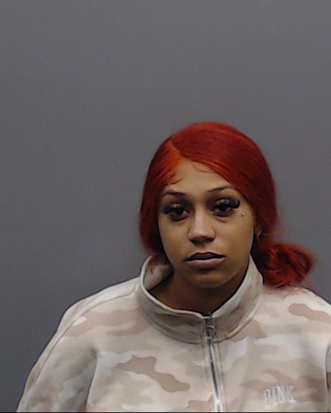 JACKSON, ROBIN NICOLE booking photo