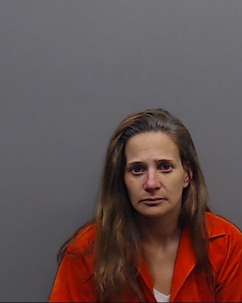 DELANEY, LINDEE CHERI booking photo