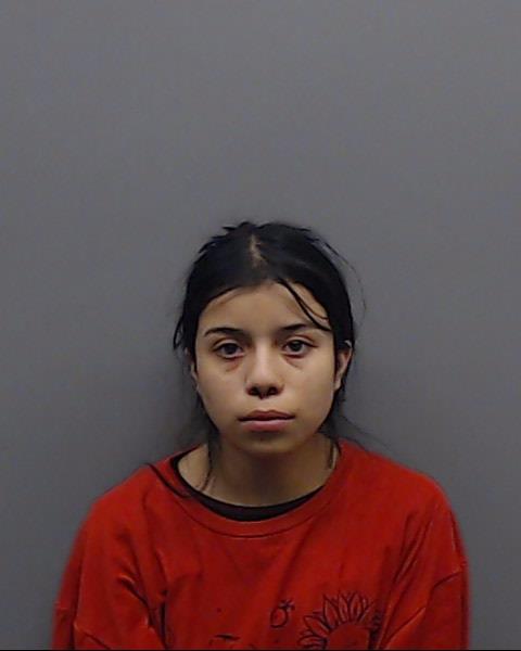 GAMEZ-GALLEGOS, NOHEMI booking photo