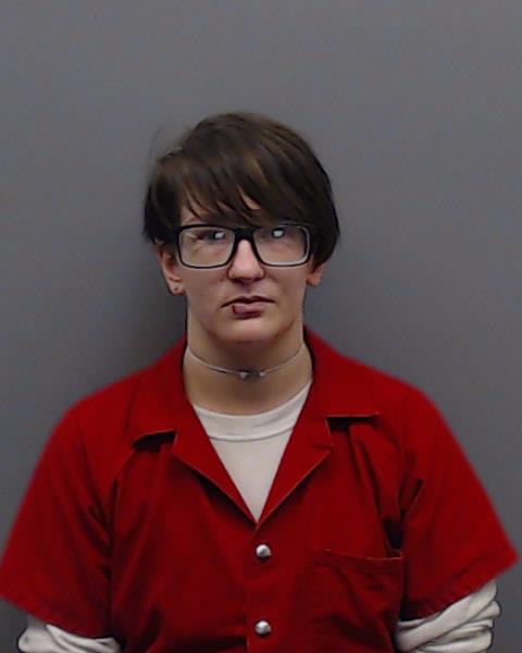 FREE, ANGELA LARAE booking photo