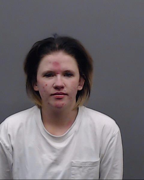 TOLER, SARAH ELIZABETH booking photo