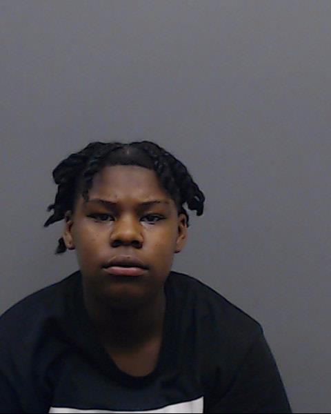 YOUNG, DADREUNIA TYSHEA booking photo