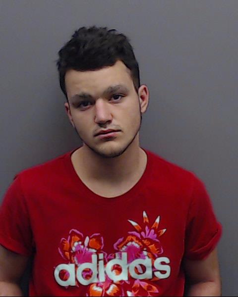 MCDANIEL, DEVEN JAMES booking photo