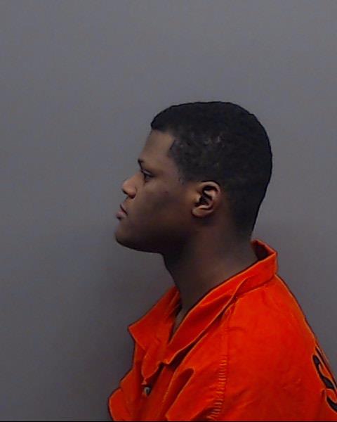 JOHNSON, MONTERIOUS CARNELL booking photo