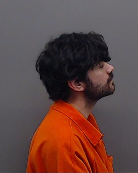 BROWN, JUSTIN MICHAEL booking photo