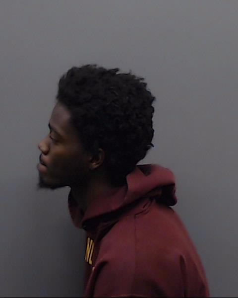 AUSTIN, AUNDRA LAMONTE booking photo