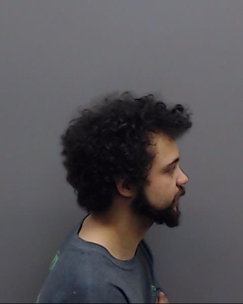 REEVES, FREDERICK RAYMOND booking photo