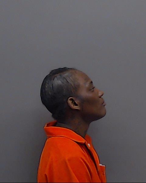 JOHNSON, RACIAL ELAINE booking photo