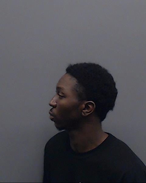 VANZANDT, KALI D booking photo