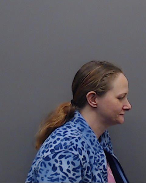 DINGLER, MELISSA GAYLE booking photo