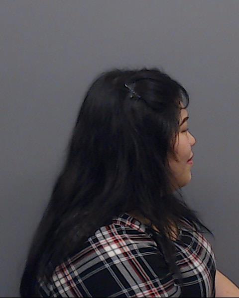 HA, SHERI LIN booking photo
