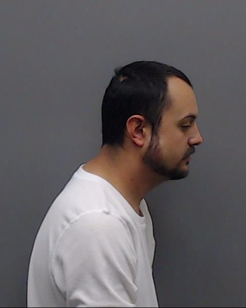 HODGES, DAKOTA LAVERNE booking photo