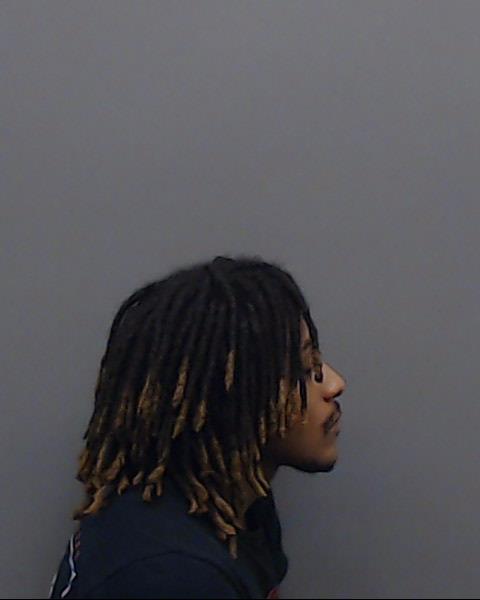 Woods, Mitchell Lamar booking photo