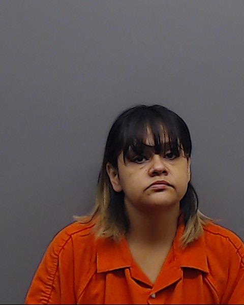 RIVERA-PINEDA, MARIA booking photo