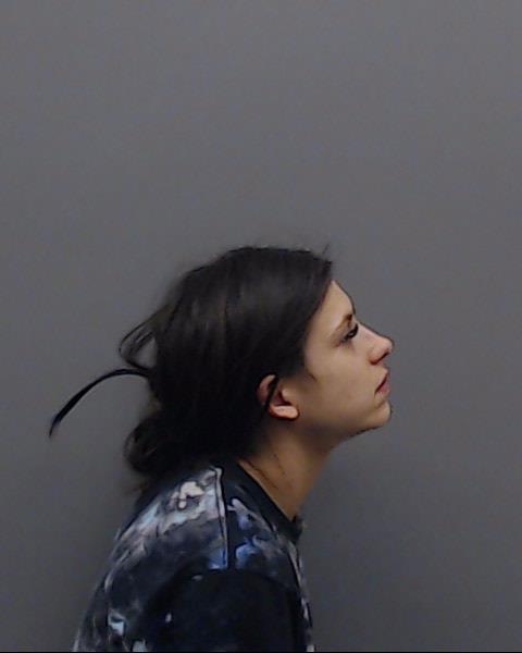 JOHNSON, HALI DIANN booking photo