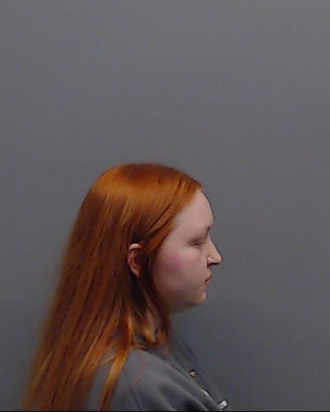 ELLIOTT, CARI NICOLE booking photo