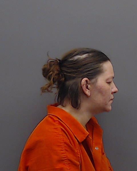 LAWLER, BRANDI booking photo