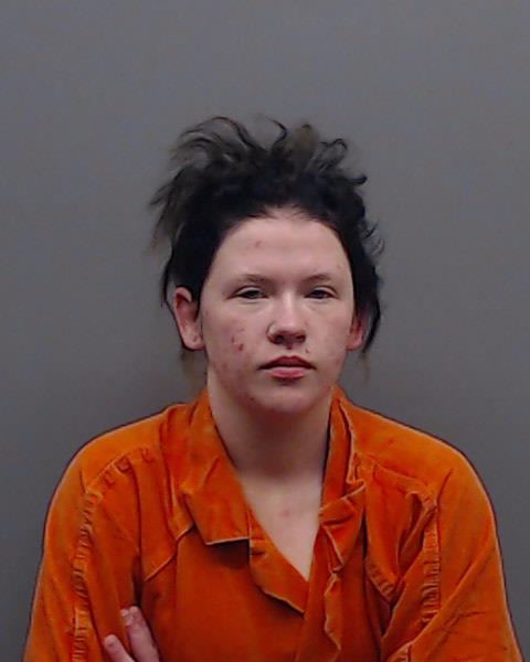 TOLER, SARAH ELIZABETH booking photo