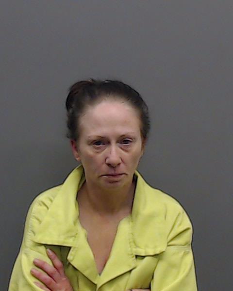 BOYCE, CHRISTIN LEE booking photo