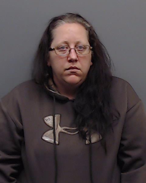 DANFORTH, ANDREA KNIGHT booking photo