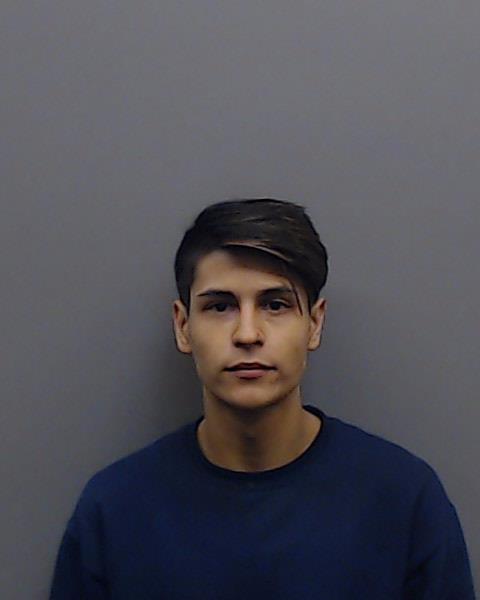 LOYA, HEDGAR booking photo
