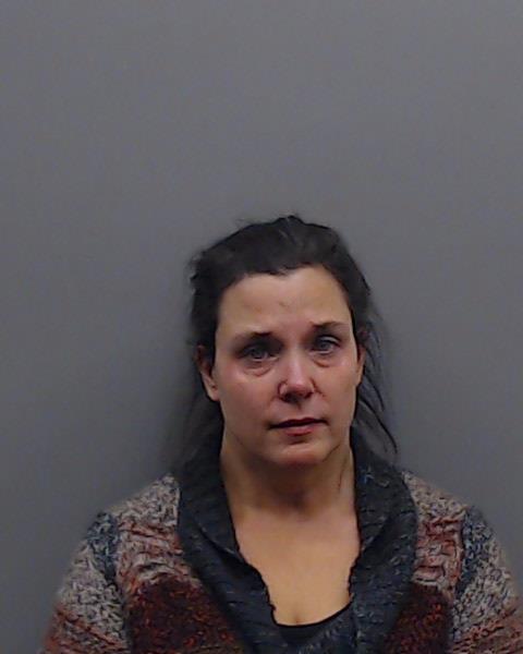 DUNN, TISH LYNN booking photo