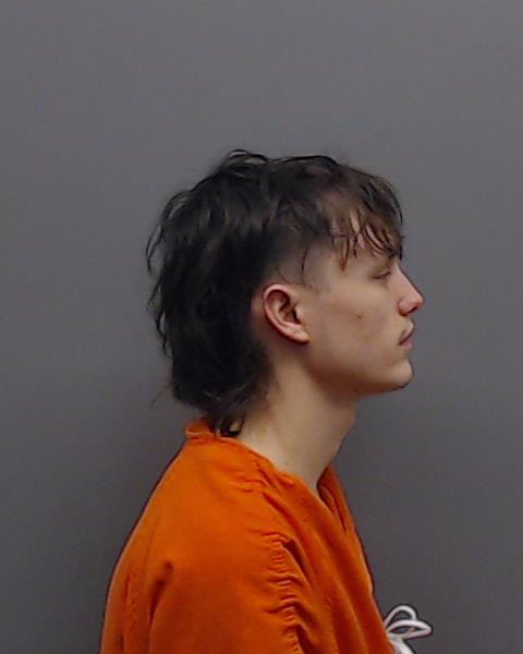 WALLACE, JOHNATHAN CALOB booking photo